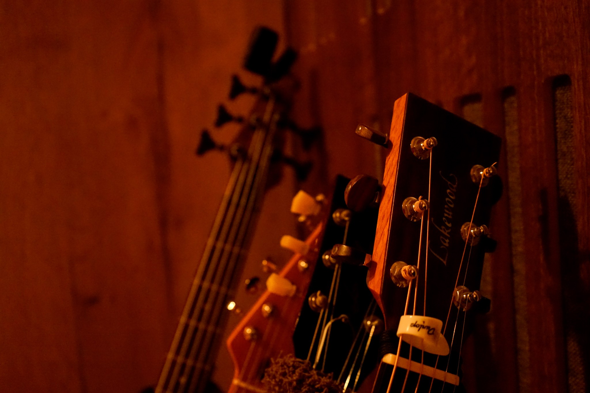 Auswahl an Akustik- und E-Gitarren sowie Bässen